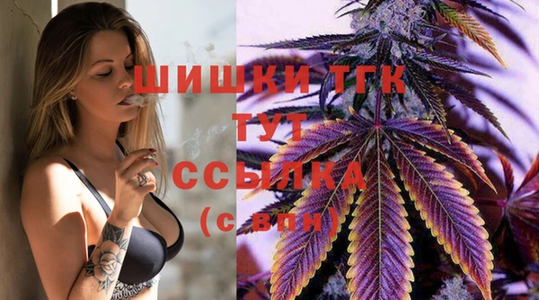 сатива Богданович