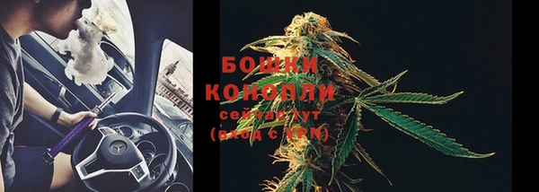 spice Бугульма