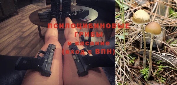 первитин Богородицк