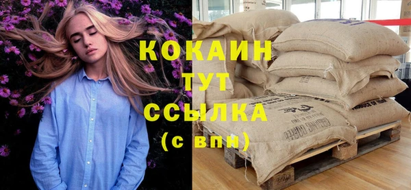 сатива Богданович