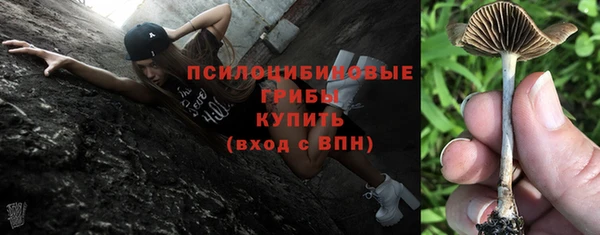 мяу мяу кристалл Бородино