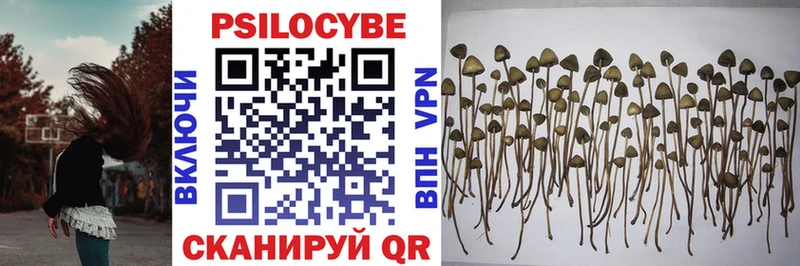 Псилоцибиновые грибы MAGIC MUSHROOMS  Дагестанские Огни 